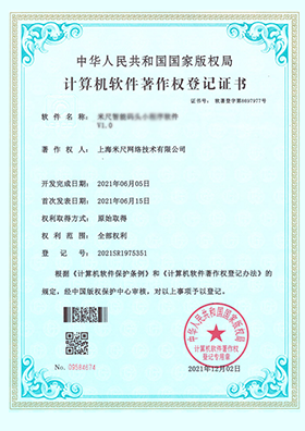 知识产权证书 11